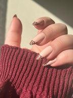 Cocoa Chic